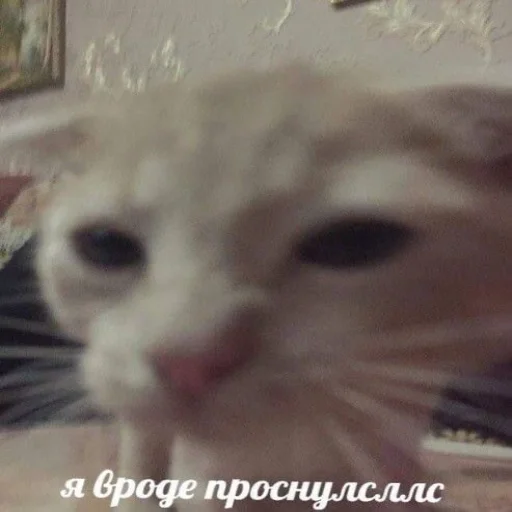 Стикер usasecretunit - 1