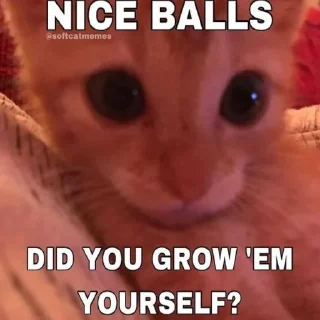 Стикер мнение дрыща - 5