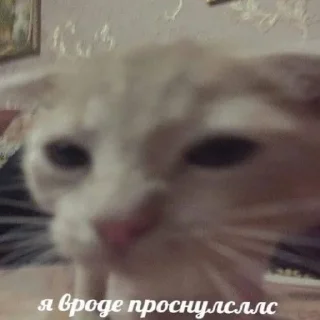 Стикер мнение дрыща - 0