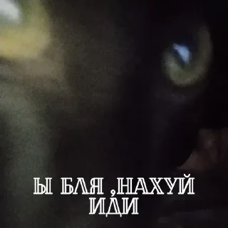 Стикер Нар🐈 by @DuoSticker_bot - 7