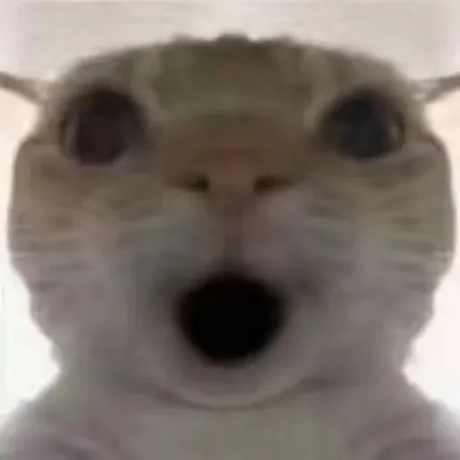 𝒦ℴ𝓃𝒹𝓇𝒶𝓉 by @Stikeryrubot - 