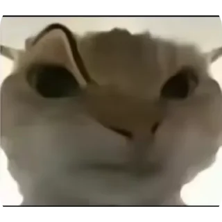 Стикер 𝒦ℴ𝓃𝒹𝓇𝒶𝓉 by @Stikeryrubot - 5