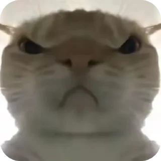 Стикер 𝒦ℴ𝓃𝒹𝓇𝒶𝓉 by @Stikeryrubot - 2