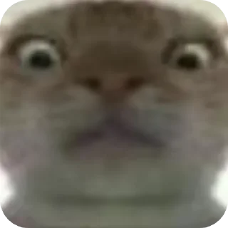 Стикер 𝒦ℴ𝓃𝒹𝓇𝒶𝓉 by @Stikeryrubot - 7