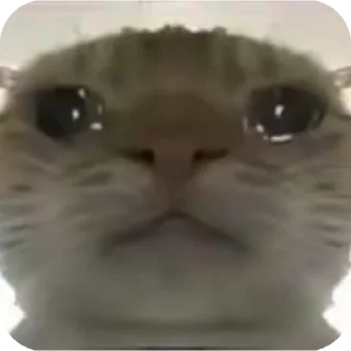 Стикер 𝒦ℴ𝓃𝒹𝓇𝒶𝓉 by @Stikeryrubot - 1