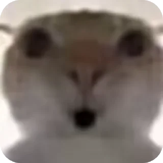 Стикер 𝒦ℴ𝓃𝒹𝓇𝒶𝓉 by @Stikeryrubot - 0