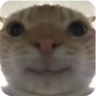 Стикер 𝒦ℴ𝓃𝒹𝓇𝒶𝓉 by @Stikeryrubot - 4