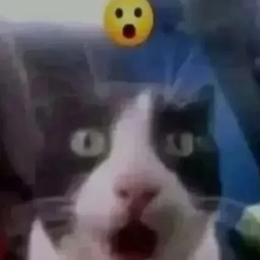 Стикер userpack24068_by_DuoSticker_bot - 1