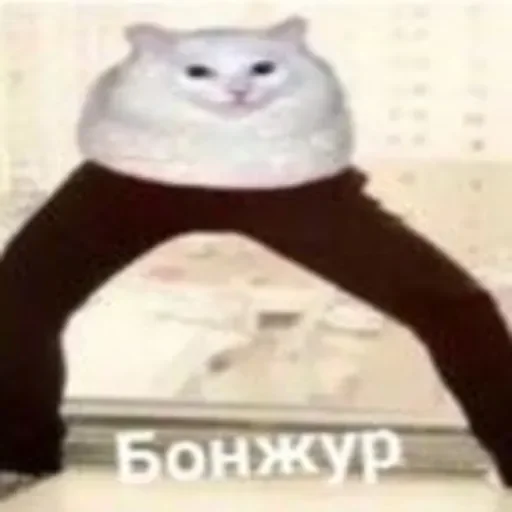 Стикер userpack24068_by_DuoSticker_bot - 1