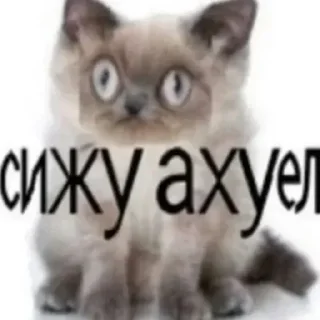 Стикер Форимские стикеры by @DuoSticker_bot - 11