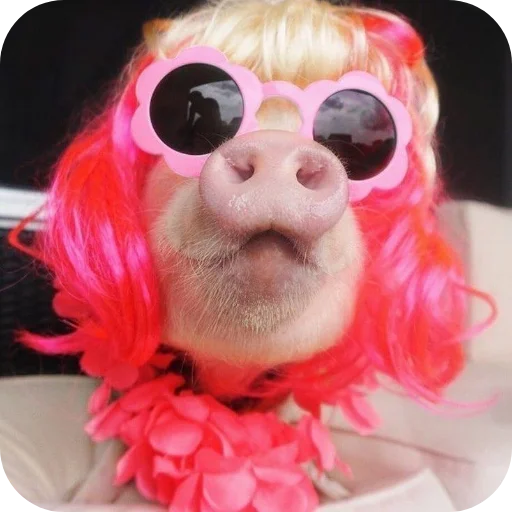 Sticker userpack24934_by_decortgbot - 1