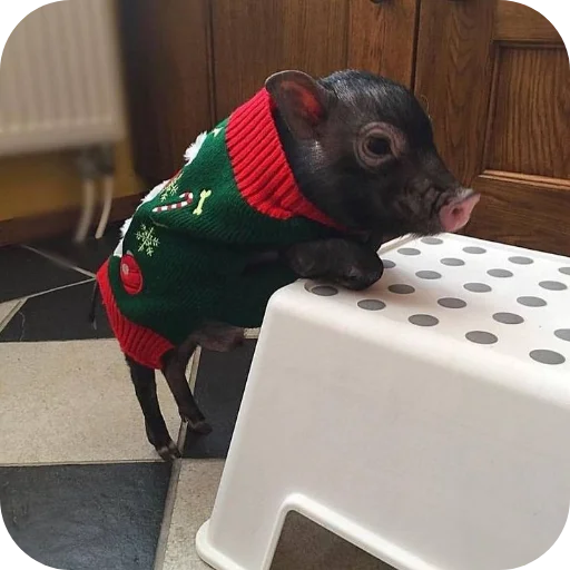 Стикер userpack24934_by_decortgbot - 1