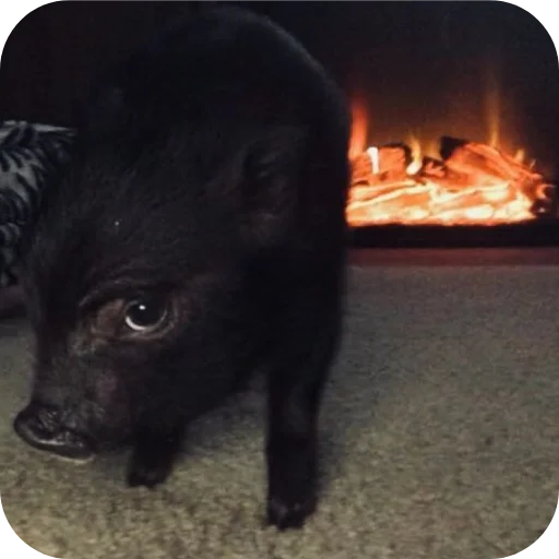 Стикер userpack24934_by_decortgbot - 1