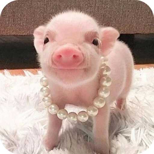 Sticker userpack24934_by_decortgbot - 1