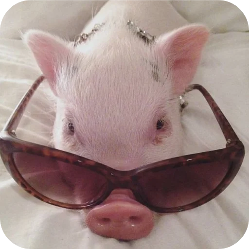 Стикер userpack24934_by_decortgbot - 1