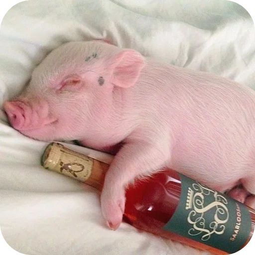 Sticker userpack24934_by_decortgbot - 1