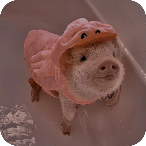 Стикер userpack24934_by_decortgbot - 1