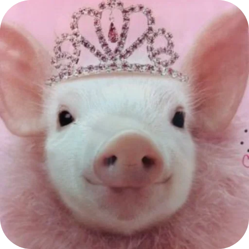 Sticker userpack24934_by_decortgbot - 1