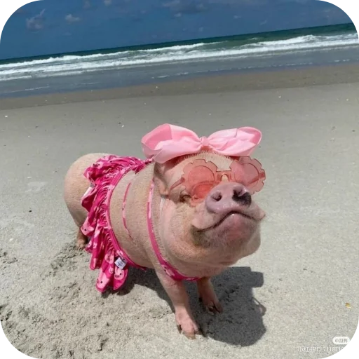 Sticker userpack24934_by_decortgbot - 1