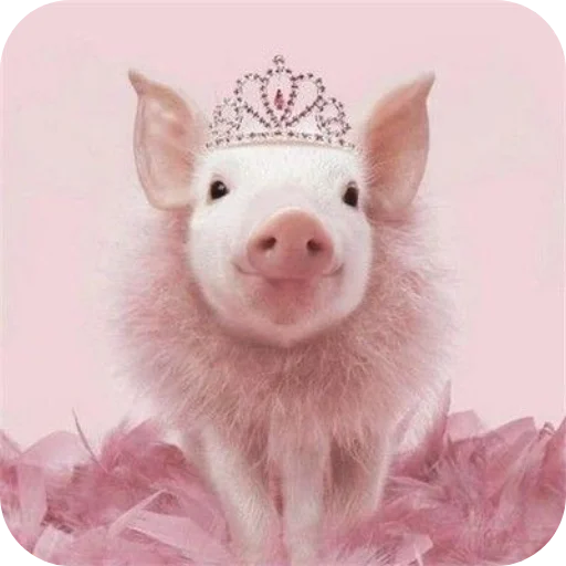 Sticker userpack24934_by_decortgbot - 1