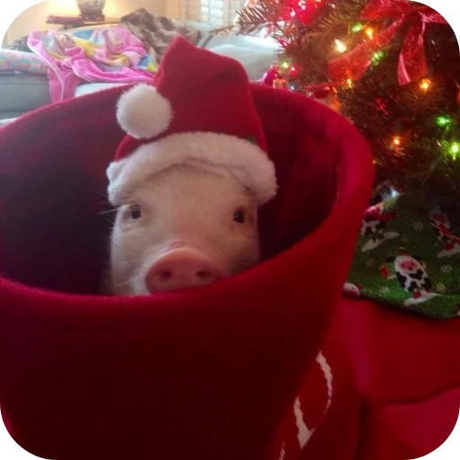 Стикер userpack24934_by_decortgbot - 1