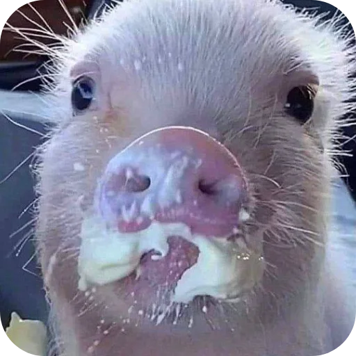 Sticker userpack24934_by_decortgbot - 1