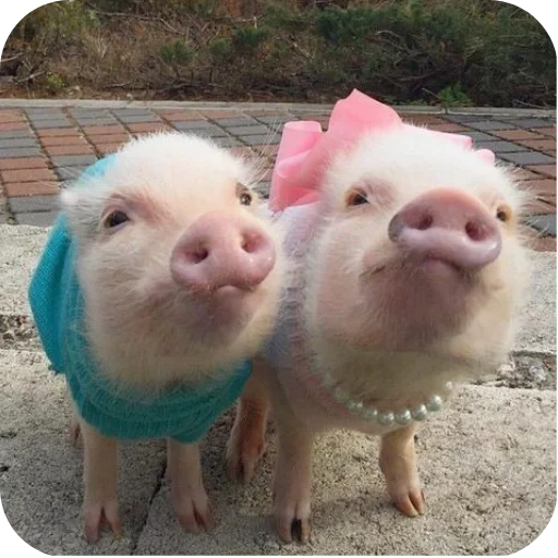 Стикер userpack24934_by_decortgbot - 1