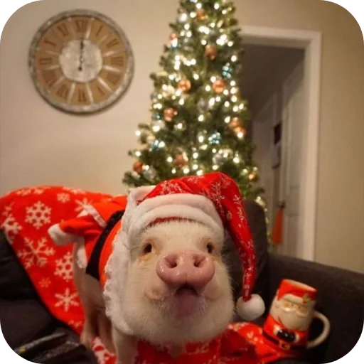 Sticker userpack24934_by_decortgbot - 1