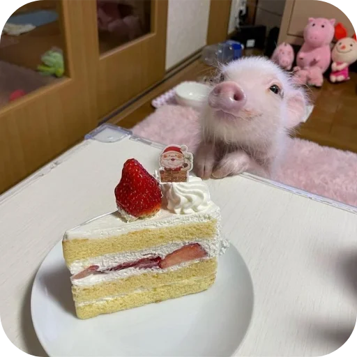 Стикер userpack24934_by_decortgbot - 1