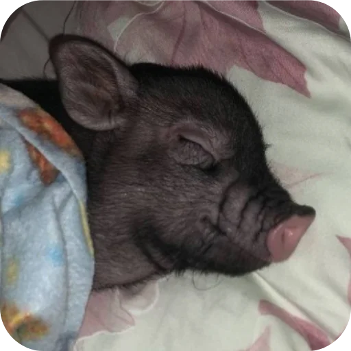 Sticker userpack24934_by_decortgbot - 1