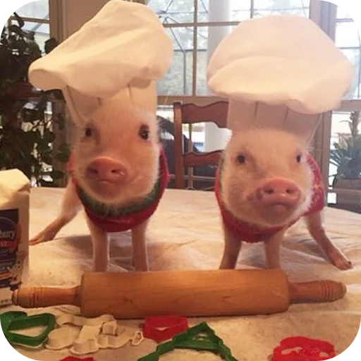 Sticker userpack24934_by_decortgbot - 1