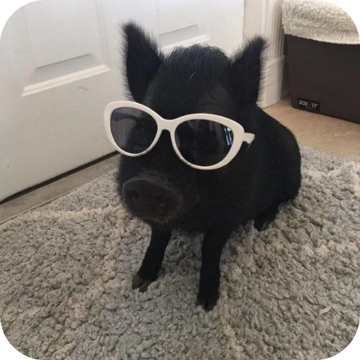 Кот by @decortgbot - 