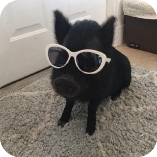 Стикер Кот by @decortgbot - 0