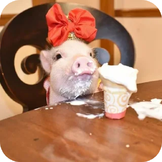 Стикер Кот by @decortgbot - 10