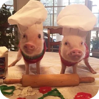 Стикер Кот by @decortgbot - 1