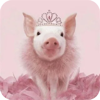 Стикер Кот by @decortgbot - 11