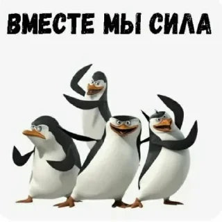 Sticker От Викушки by @stickplusbot - 4