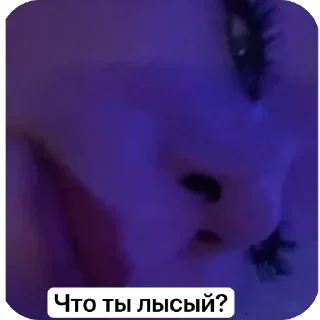 Стикер Дашуля by @Stickersneewbot - 5