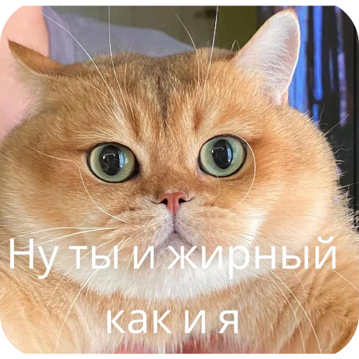 Sticker userpack4645_by_StickerDreamBot - 1