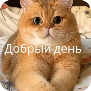 Стикер Какая-то хуйня  @SpiderMan2099ben - 3