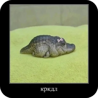 Стикер автор стикеров @karoche_rewa - 8