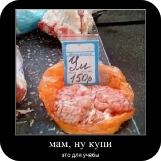 Стикер автор стикеров @karoche_rewa - 5