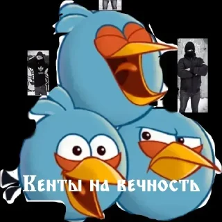 Sticker Angry birds funny by @Stickersneewbot - 2