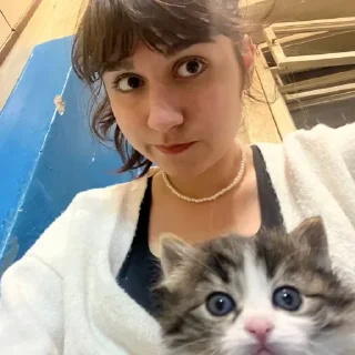 Стикер Стикерыыыыыыы by @DuoSticker_bot - 4