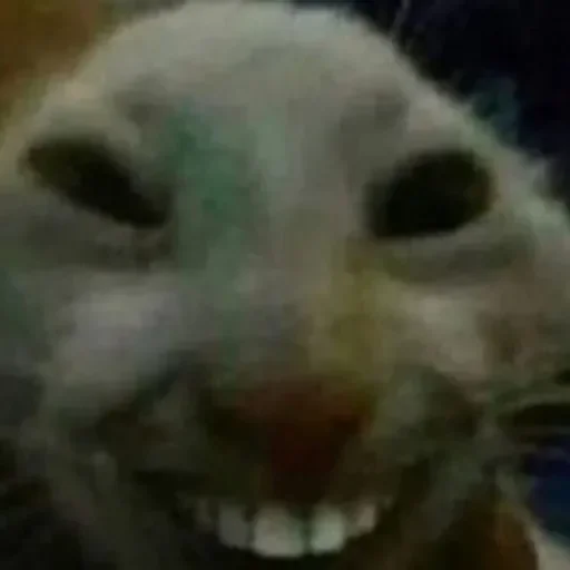 Sticker userpack6796_by_DuoSticker_bot - 1