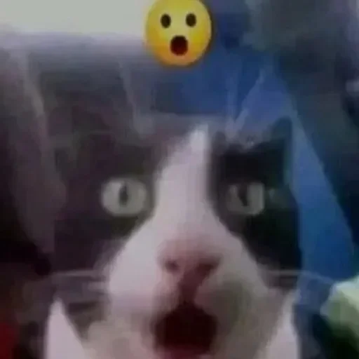 Стикер userpack6796_by_DuoSticker_bot - 1