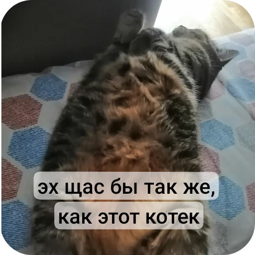 Sticker userpack70629_by_stickplusbot - 1