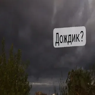 Sticker Сончоус by @romashkin1bot - 0