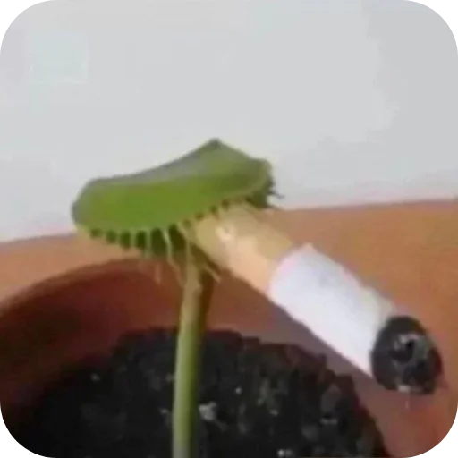 Стикер userpack7638_by_Stikeryrubot - 1