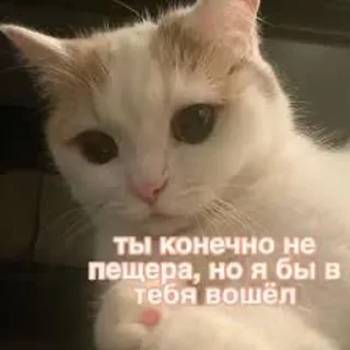 Стикер 😉 - 1